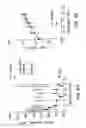 Fig. 03 - Novel heterocyclic analogs of diphenylethylene compounds
