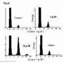 Fig. 03 - Potassium channel opener