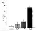 Fig. 04 - Potassium channel opener