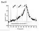 Fig. 05 - Potassium channel opener