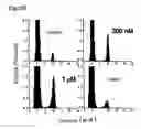 Fig. 09 - Potassium channel opener