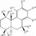 Fig. 12 - Potassium channel opener
