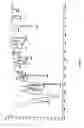 Fig. 05 - Process for the preparation of Gabapentin form-II