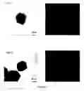 Fig. 03 - Preparation of metallic nanoparticles