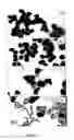 Fig. 15 - Preparation of metallic nanoparticles