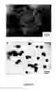 Fig. 17 - Preparation of metallic nanoparticles
