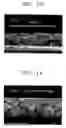Fig. 07 - Electrode, method of preparing the same, binder composition, lithium battery containing the electrode and the binder composition