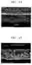 Fig. 09 - Electrode, method of preparing the same, binder composition, lithium battery containing the electrode and the binder composition