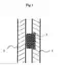 Fig. 02 - Material for formation of seal for battery electrolyte