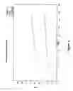 Fig. 03 - Polymer networks