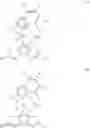 Fig. 04 - Process for polymerizing 1-butene