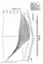 Fig. 10 - Polytetrafluoroethylene treatment