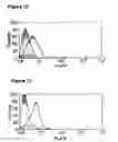 Fig. 15 - Enduring T cell response