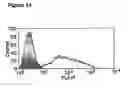 Fig. 16 - Enduring T cell response