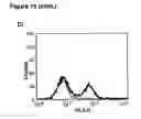Fig. 21 - Enduring T cell response