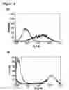 Fig. 24 - Enduring T cell response