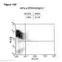 Fig. 25 - Enduring T cell response