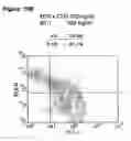 Fig. 26 - Enduring T cell response