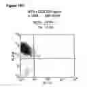 Fig. 27 - Enduring T cell response