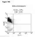 Fig. 28 - Enduring T cell response