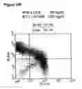 Fig. 30 - Enduring T cell response
