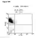 Fig. 32 - Enduring T cell response