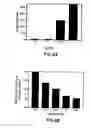 Fig. 12 - Galanin receptor 2 proteins and nucleic acids