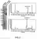 Fig. 03 - Antibodies against lesion tissue