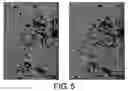 Fig. 06 - Antibodies against lesion tissue