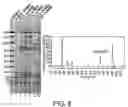 Fig. 07 - Antibodies against lesion tissue