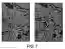Fig. 08 - Antibodies against lesion tissue