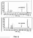 Fig. 09 - Antibodies against lesion tissue