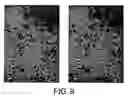 Fig. 10 - Antibodies against lesion tissue
