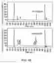 Fig. 11 - Antibodies against lesion tissue