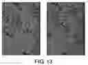 Fig. 14 - Antibodies against lesion tissue