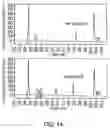 Fig. 15 - Antibodies against lesion tissue