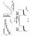Fig. 03 - Tetrafluorobenzyl derivatives and pharmaceutical composition for preventing and treating acute and chronic neurodegenerative diseases in central nervous system containing the same