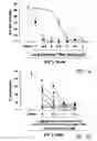 Fig. 04 - Tetrafluorobenzyl derivatives and pharmaceutical composition for preventing and treating acute and chronic neurodegenerative diseases in central nervous system containing the same