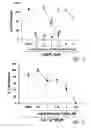 Fig. 05 - Tetrafluorobenzyl derivatives and pharmaceutical composition for preventing and treating acute and chronic neurodegenerative diseases in central nervous system containing the same