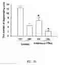Fig. 08 - Tetrafluorobenzyl derivatives and pharmaceutical composition for preventing and treating acute and chronic neurodegenerative diseases in central nervous system containing the same