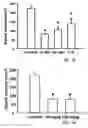 Fig. 09 - Tetrafluorobenzyl derivatives and pharmaceutical composition for preventing and treating acute and chronic neurodegenerative diseases in central nervous system containing the same
