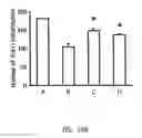 Fig. 14 - Tetrafluorobenzyl derivatives and pharmaceutical composition for preventing and treating acute and chronic neurodegenerative diseases in central nervous system containing the same