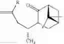 Fig. 06 - Efficient and economic asymmetric synthesis of nootkatone, tetrahydronootkatone, their precursors and derivatives