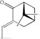 Fig. 07 - Efficient and economic asymmetric synthesis of nootkatone, tetrahydronootkatone, their precursors and derivatives