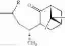 Fig. 08 - Efficient and economic asymmetric synthesis of nootkatone, tetrahydronootkatone, their precursors and derivatives