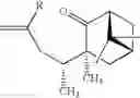 Fig. 10 - Efficient and economic asymmetric synthesis of nootkatone, tetrahydronootkatone, their precursors and derivatives