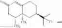 Fig. 13 - Efficient and economic asymmetric synthesis of nootkatone, tetrahydronootkatone, their precursors and derivatives