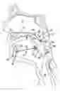 Fig. 01 - Implant for tongue