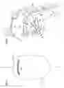 Fig. 05 - Implant for tongue