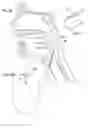 Fig. 10 - Implant for tongue